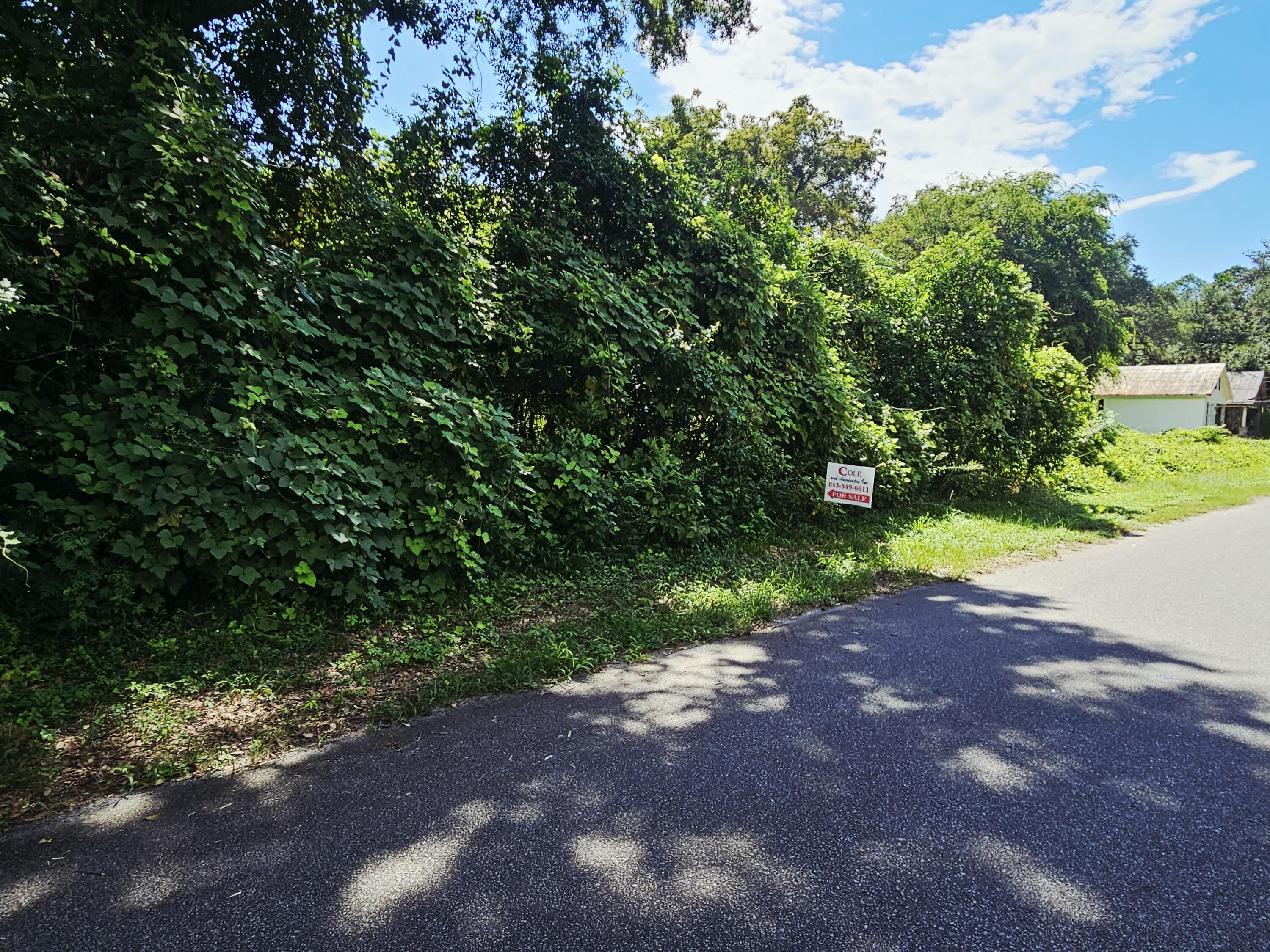 306 Chaplin Street Walterboro, SC 29488 - Photo 5 of 5 20250813_154740