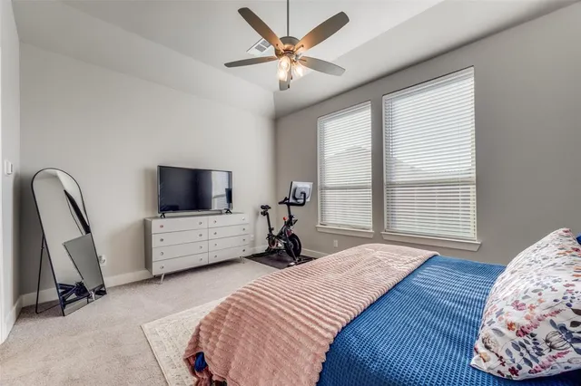 a bedroom with bed tv and window