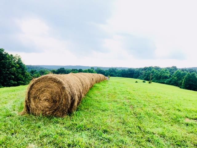 62.22-ac Weed-Keltner Road Columbia, KY 42728 - Photo 3 of 17 Gallery Image 3