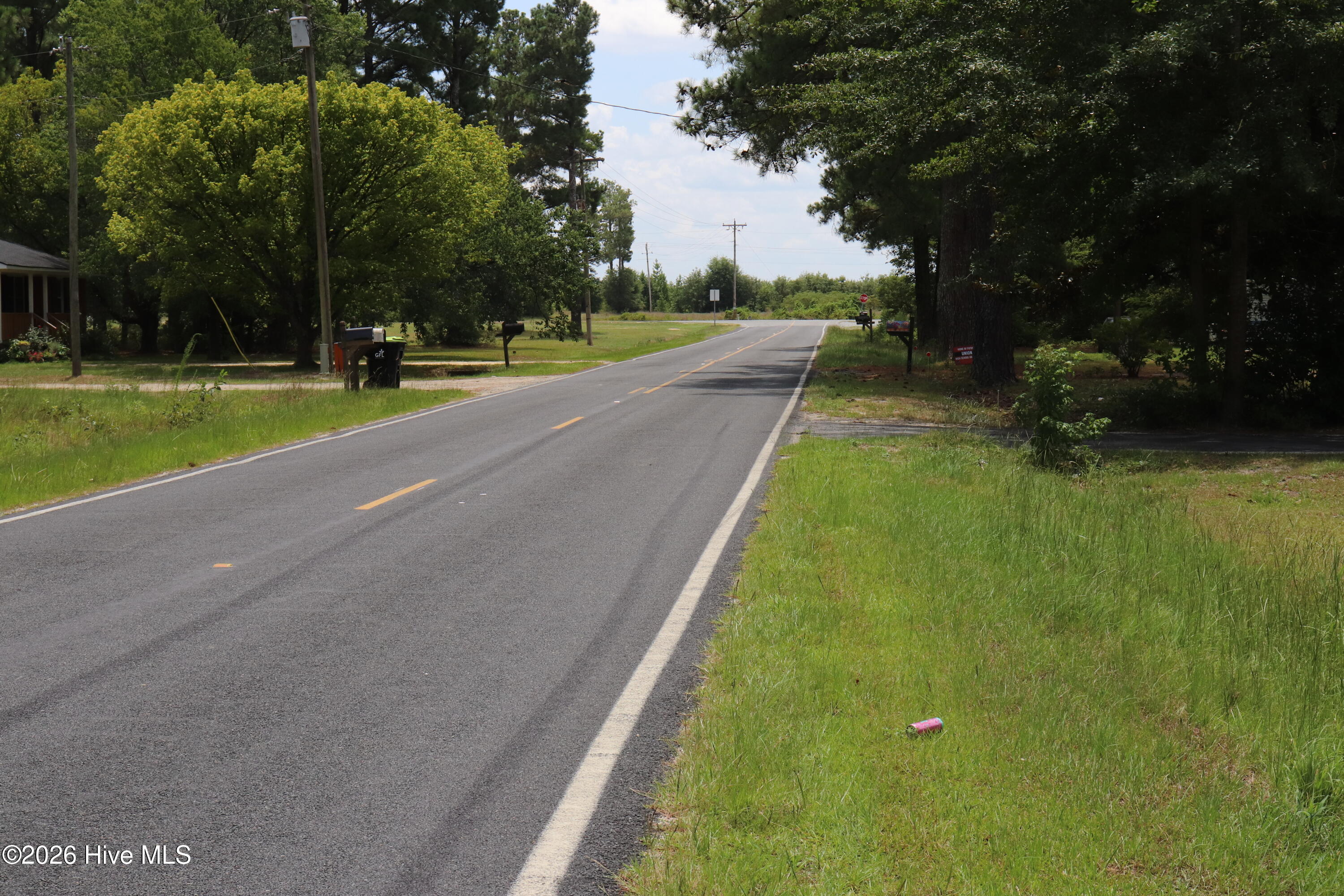 Tbd Hayne Stretch Road Roseboro, NC 28382 - Photo 24 of 31