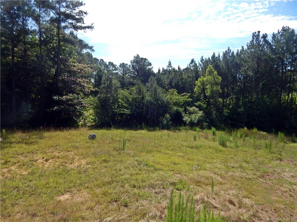 1933 Orrs Station Road Chester, SC 29706 - Photo 18 of 24 Gallery Image 18