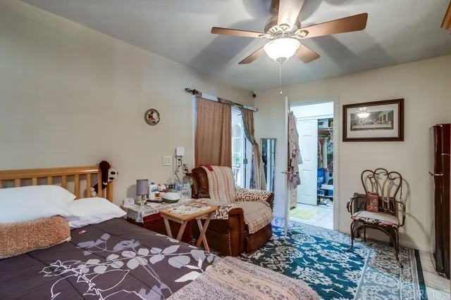 a view of a garden with plants