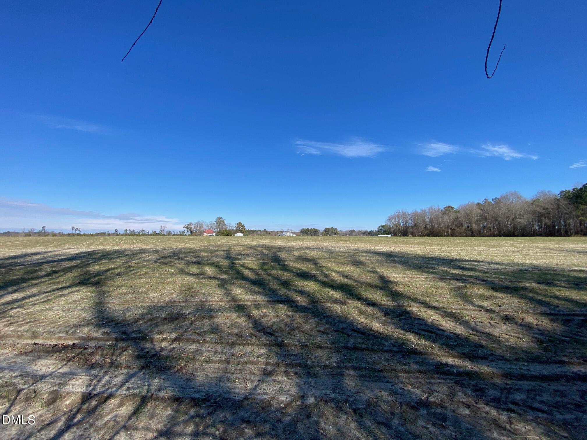 3038 Brogden Road Smithfield, NC 27577 - Photo 22 of 40 Back Cleared Acres