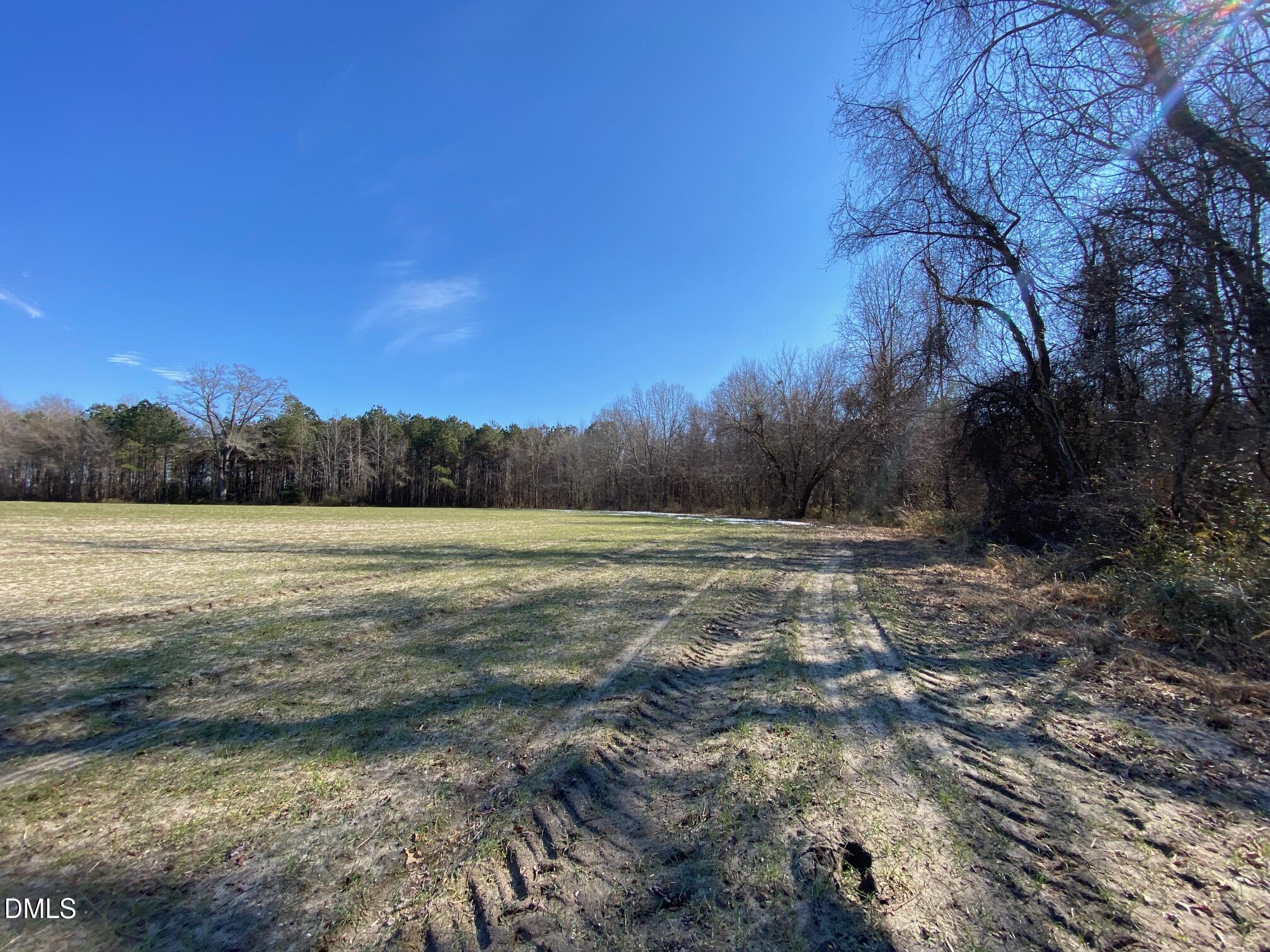 3038 Brogden Road Smithfield, NC 27577 - Photo 23 of 40 Tree Line