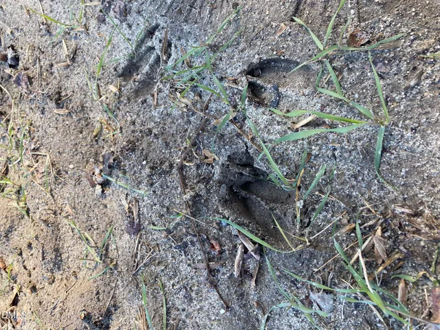 $885,000 | 3038 Brogden Road, Smithfield, NC 27577