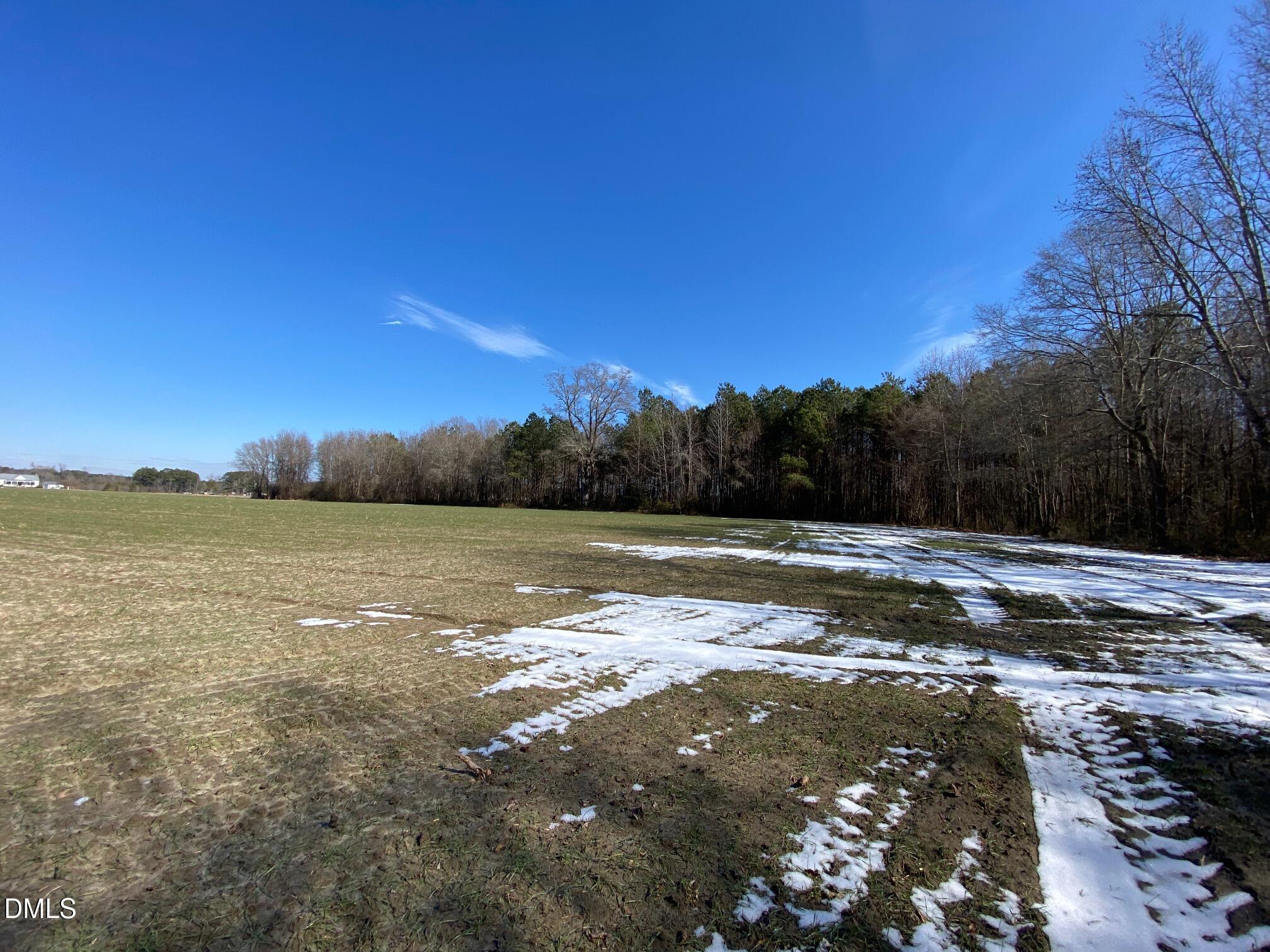 3038 Brogden Road Smithfield, NC 27577 - Photo 29 of 40 Walking View