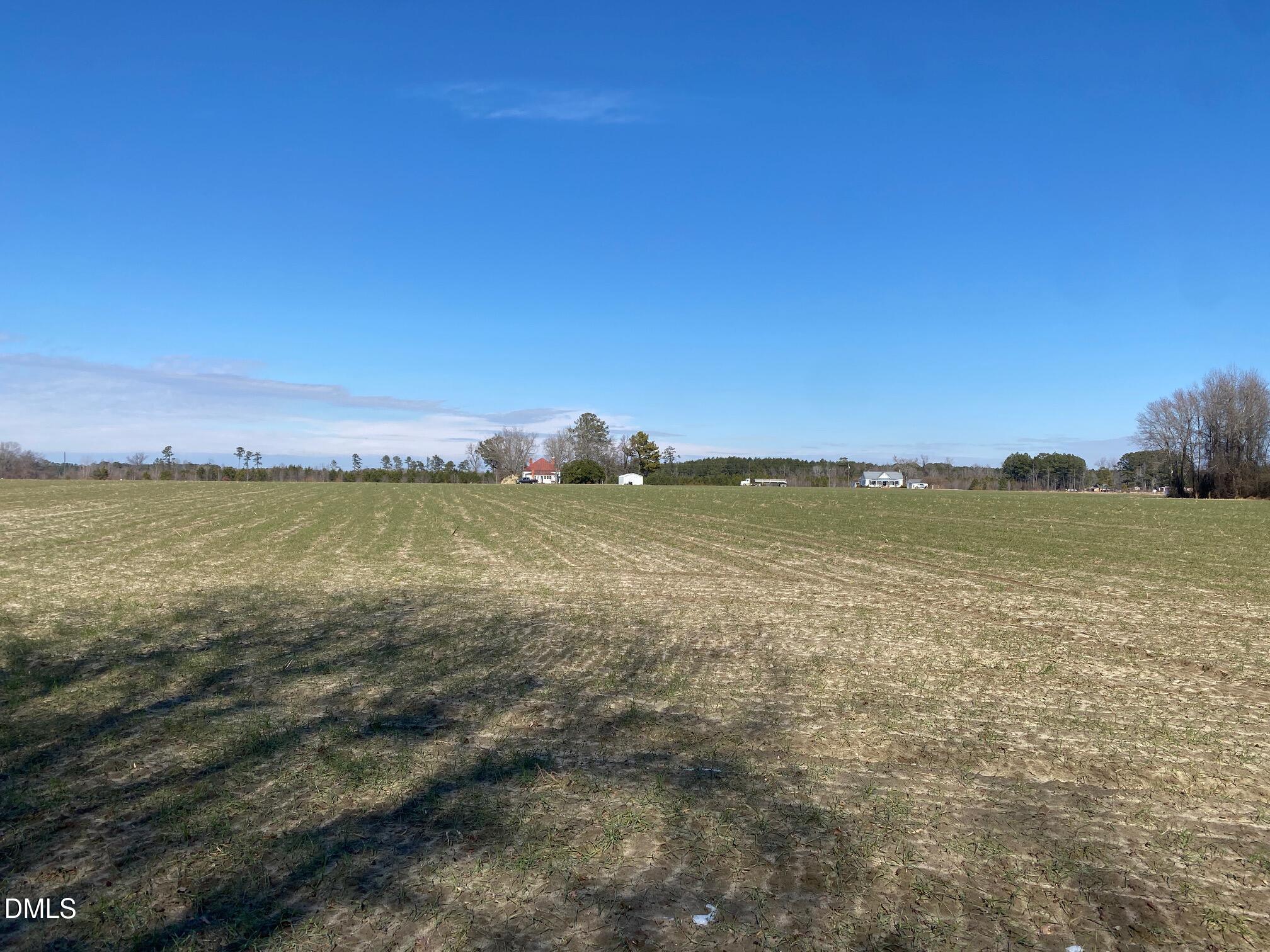 3038 Brogden Road Smithfield, NC 27577 - Photo 30 of 40 Back of the Farmhouse View