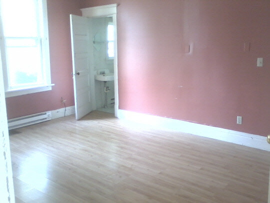 609 North Main Street Rochelle, IL 61068 - Photo 3 of 4 an empty room with wooden floor and windows