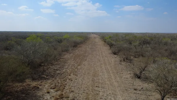 a view of a dry yard