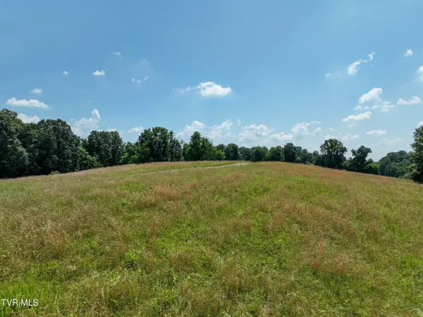 $625,000 | Lot 1 Devault Bridge Road, Piney Flats, TN 37686