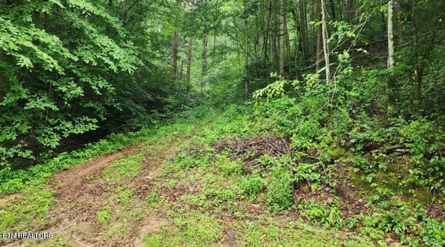 $89,900 | 4473 Chavis Road, Cosby, TN 37722