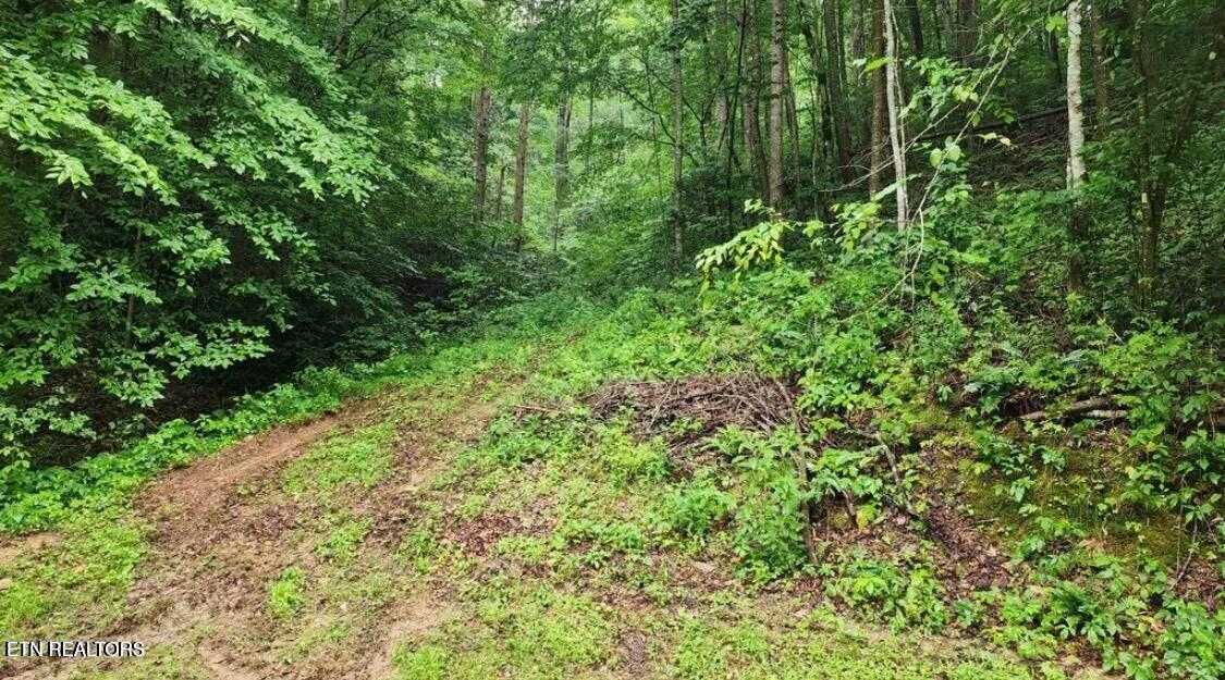 20250114233030113999000000-o