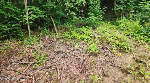 $89,900 | 4473 Chavis Road, Cosby, TN 37722