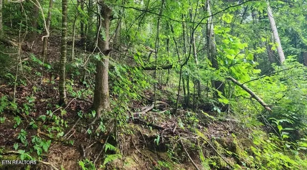 $89,900 | 4473 Chavis Road, Cosby, TN 37722