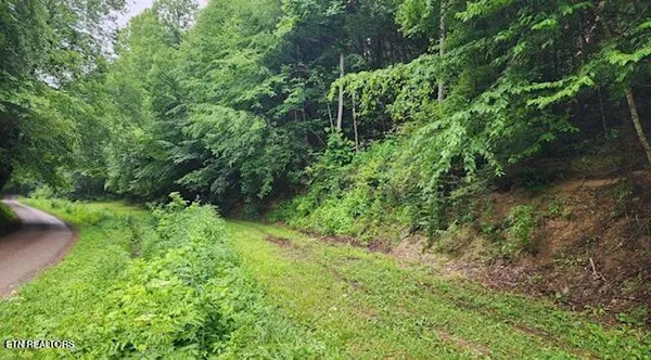 $89,900 | 4473 Chavis Road, Cosby, TN 37722