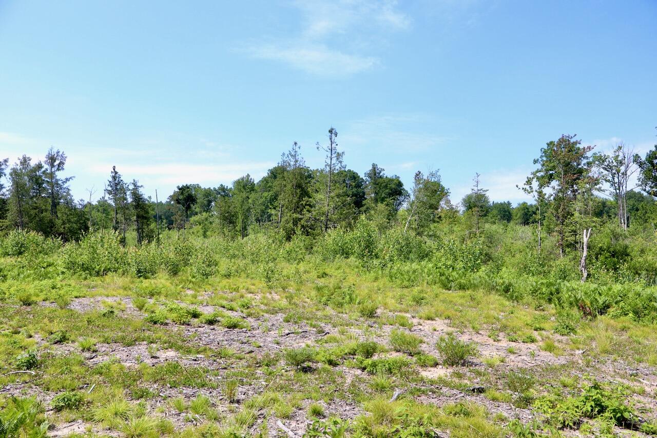20-ac West Clarence Road Harrison, MI 48625 - Photo 22 of 32 023