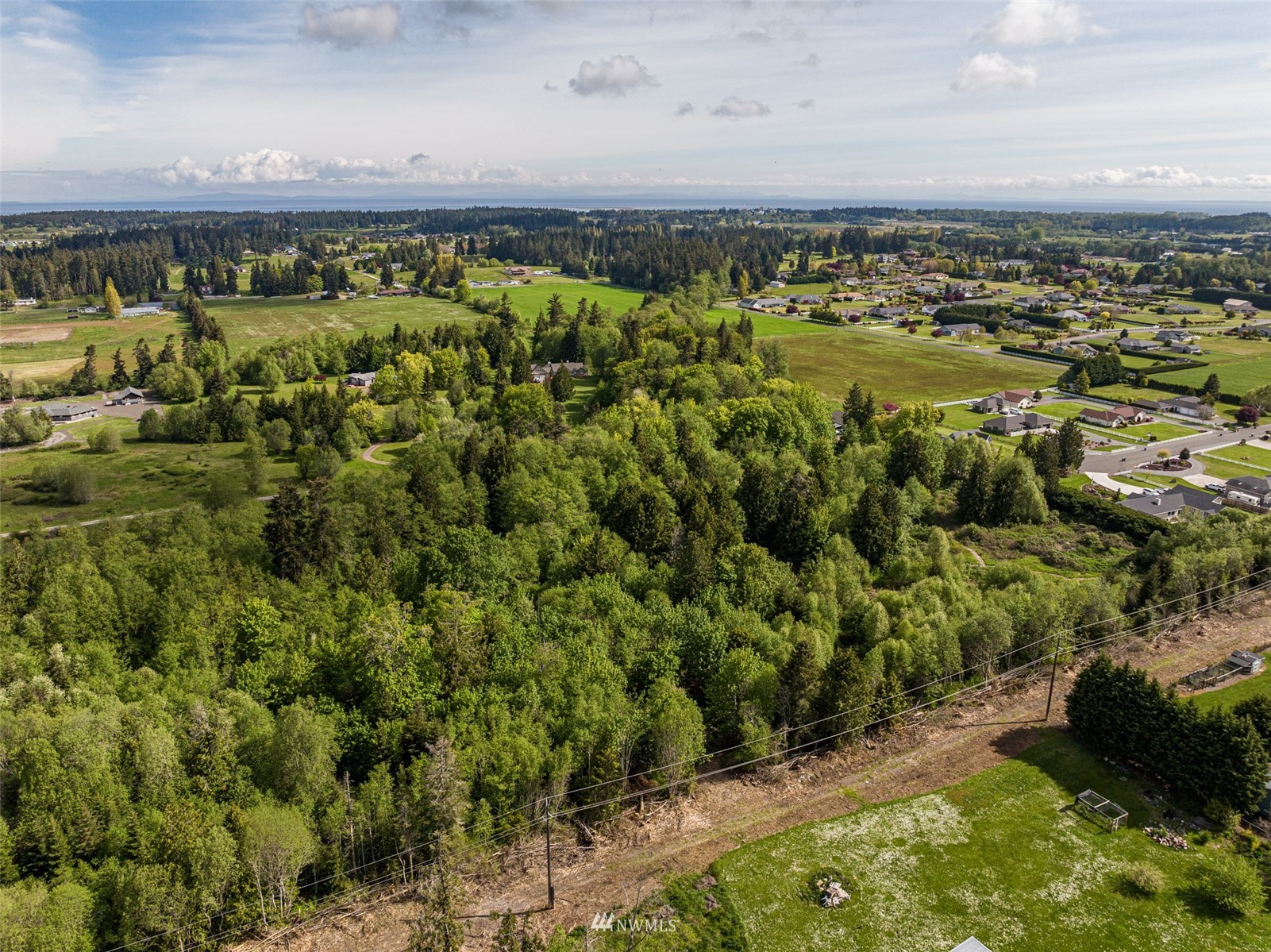 6 Belenski Place Sequim, WA 98382 - Photo 6 of 7 a view of a yard with an outdoor space