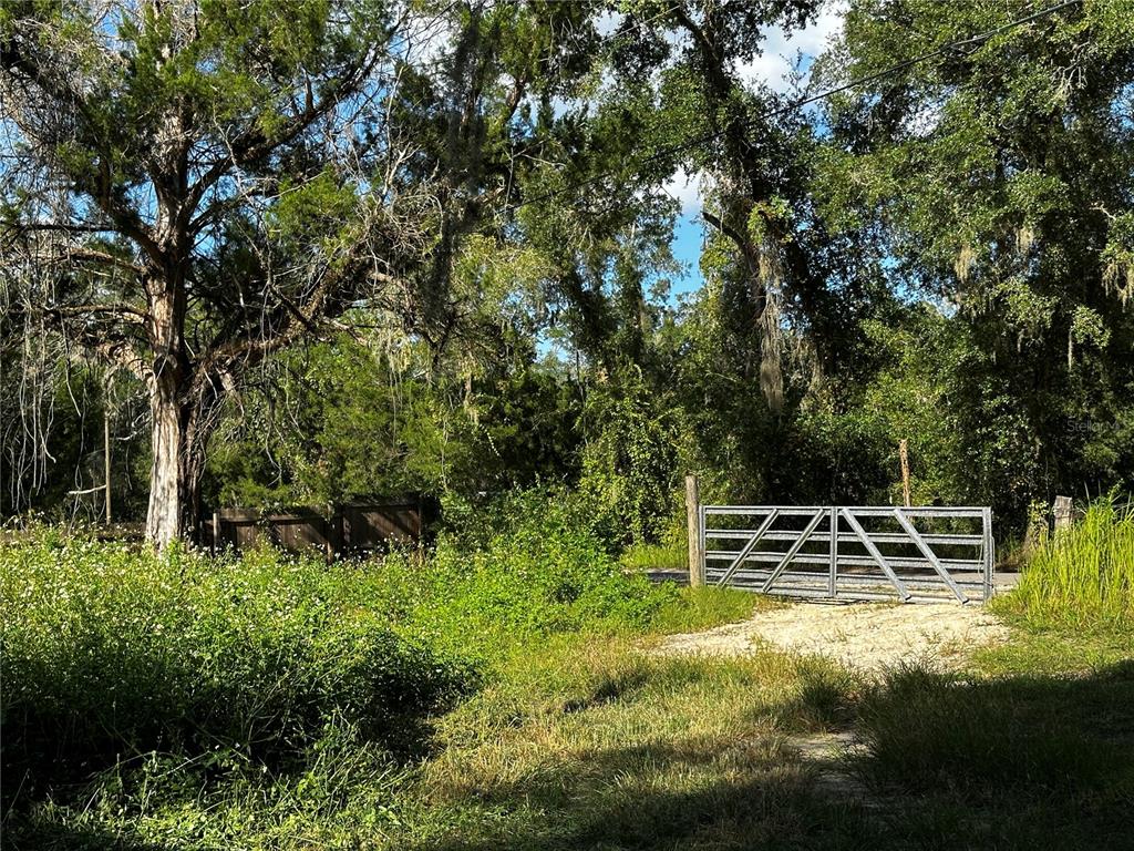 418 North Pine Street Bronson, FL 32621 - Photo 56 of 61 Gallery Image 56
