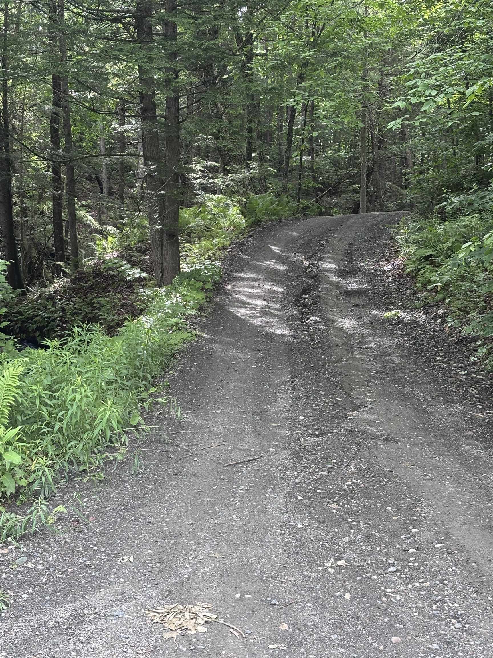 0 Davis Acre Road Randolph, VT 05060 - Photo 6 of 7