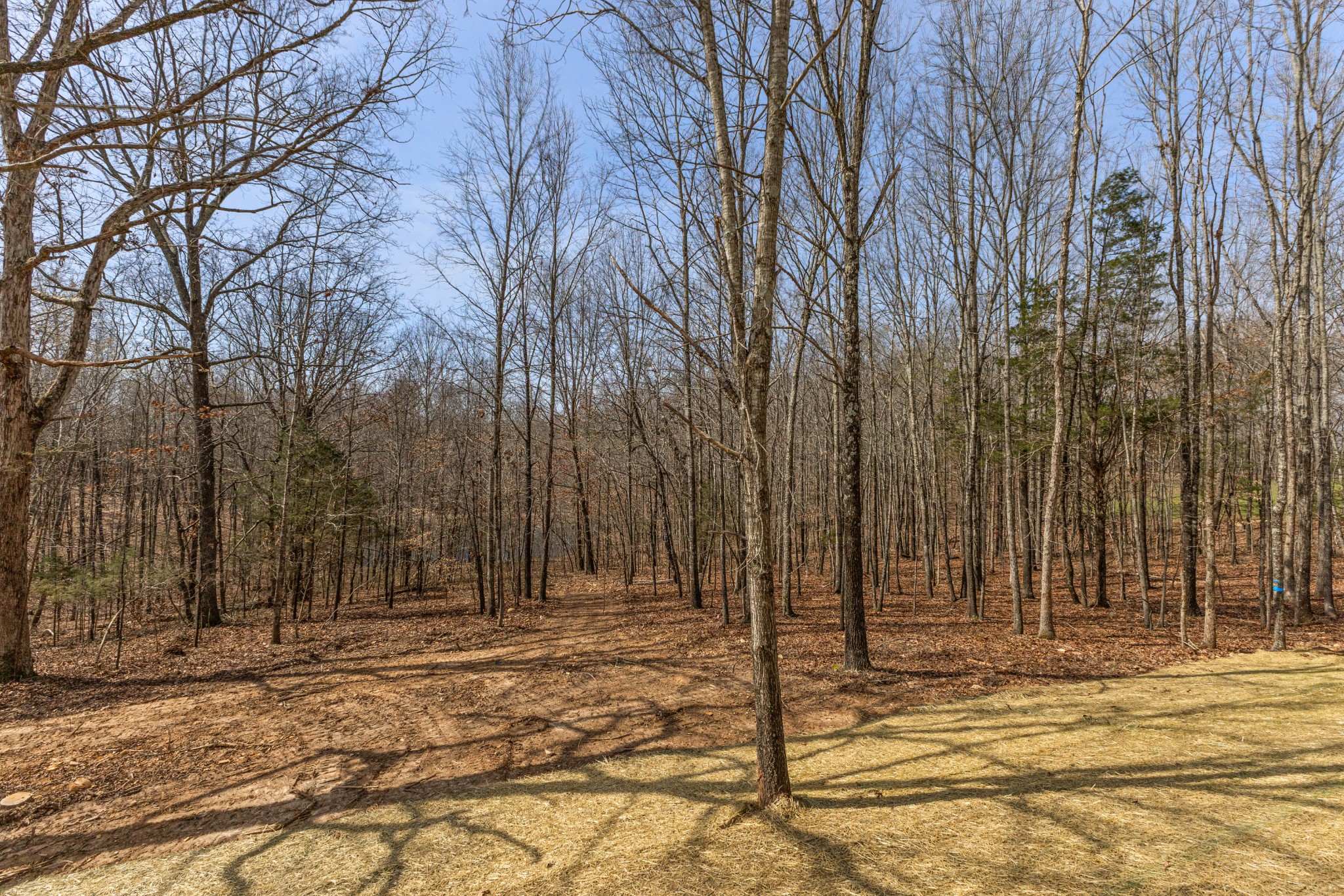 1033 Walnut Grove Road Dickson, TN 37055 - Photo 36 of 45