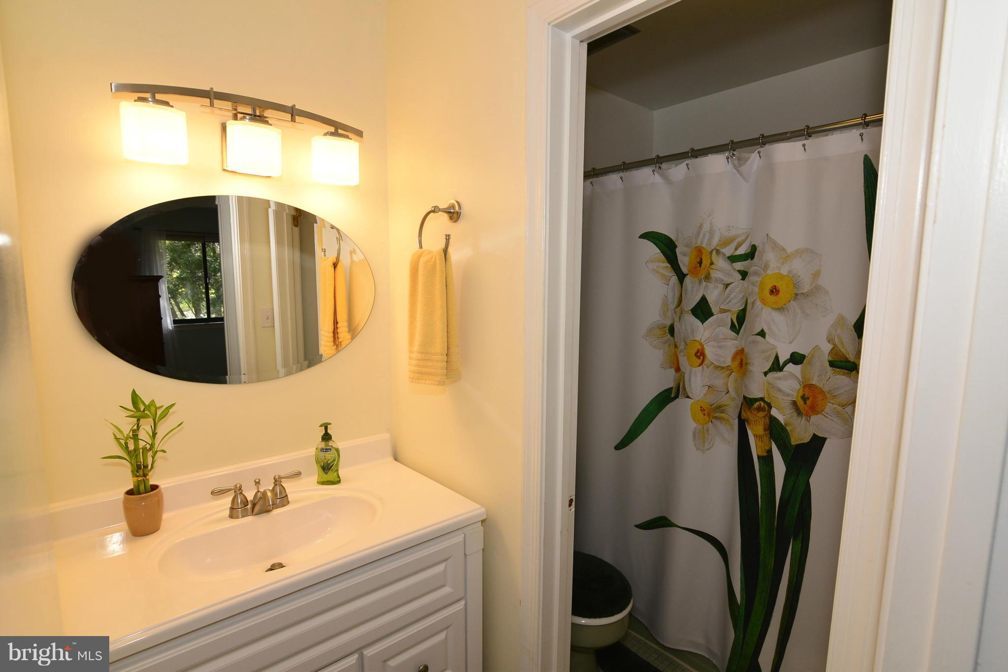 11002 Saffold Way Reston, VA 20190 - Photo 25 of 28 Bath