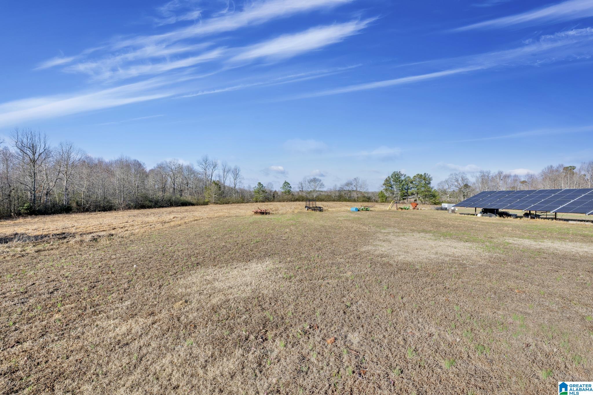 941 Hamm Road Blountsville, AL 35031 - Photo 34 of 67