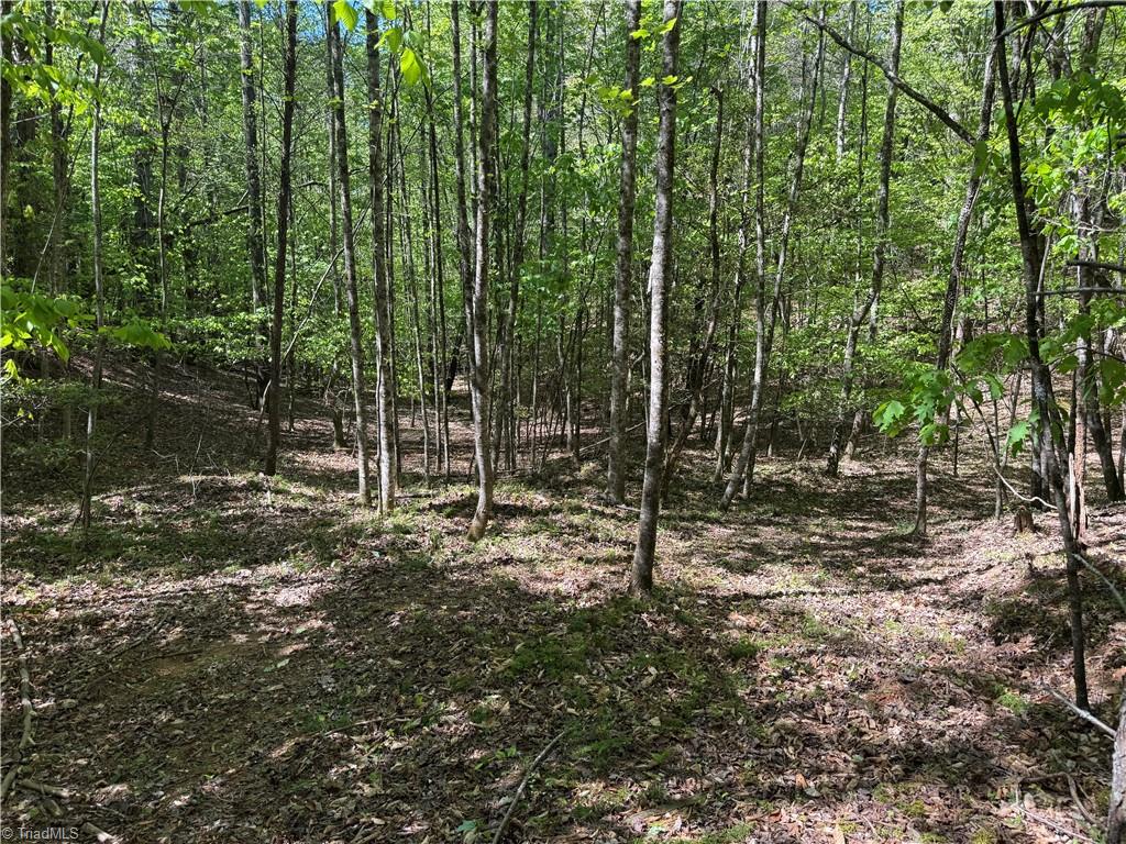 1460 Byrd Ridge Road North Wilkesboro, NC 28659 - Photo 22 of 26