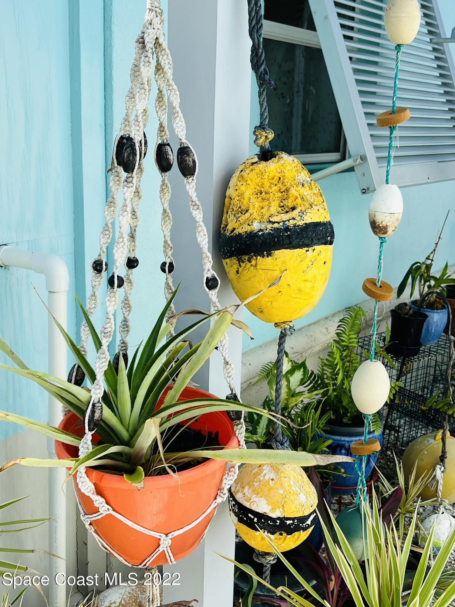 230 Rita Boulevard Melbourne Beach, FL 32951 - Photo 36 of 60 a view of a swimming pool with a chairs and potted plant