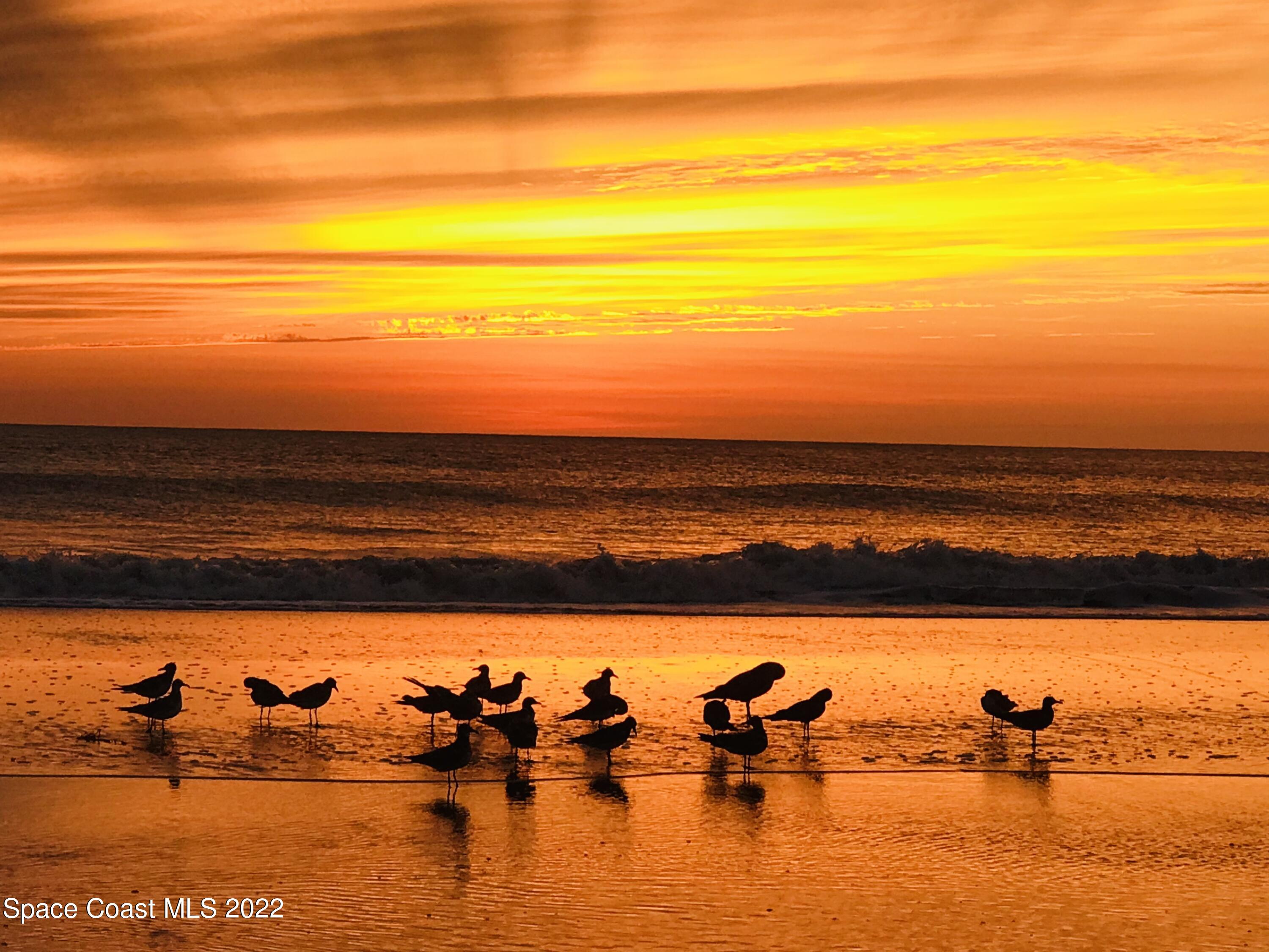230 Rita Boulevard Melbourne Beach, FL 32951 - Photo 58 of 60 a view of city and ocean