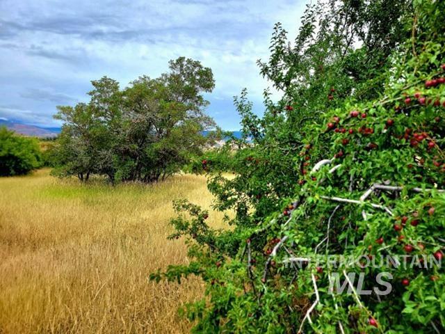 Tbd Tbd Mesa Road Mesa, ID 83643 - Photo 5 of 7 View of nature