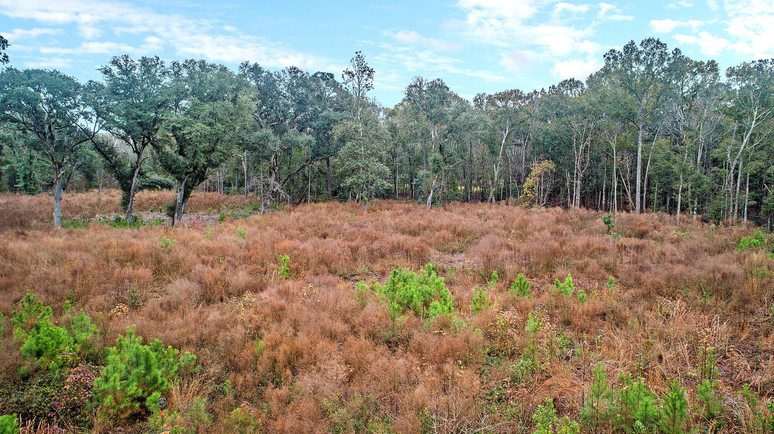 2465 Eden Forest Road Johns Island, SC 29455 - Photo 11 of 22 DJI_0015