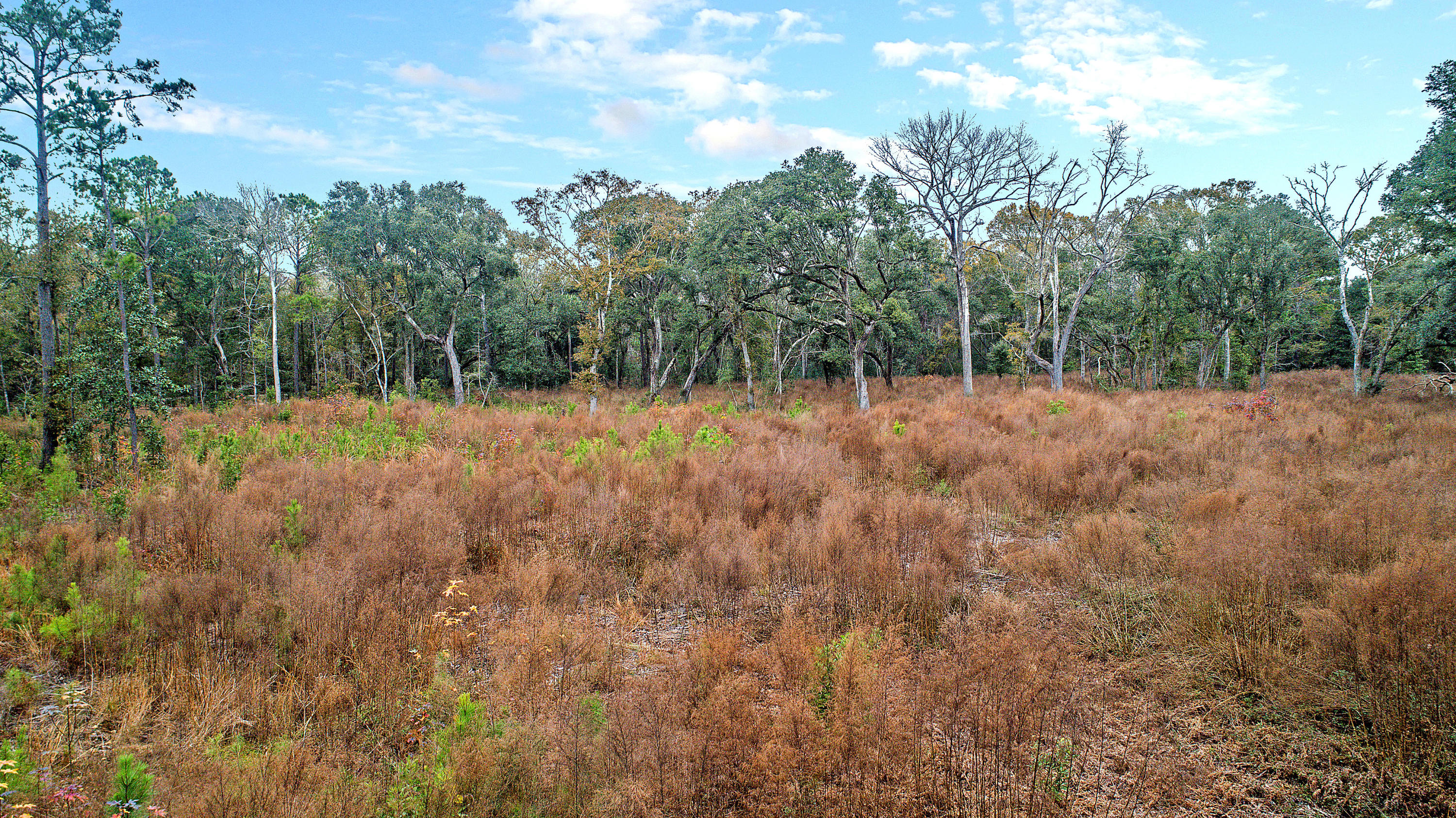 2465 Eden Forest Road Johns Island, SC 29455 - Photo 12 of 22 DJI_0016