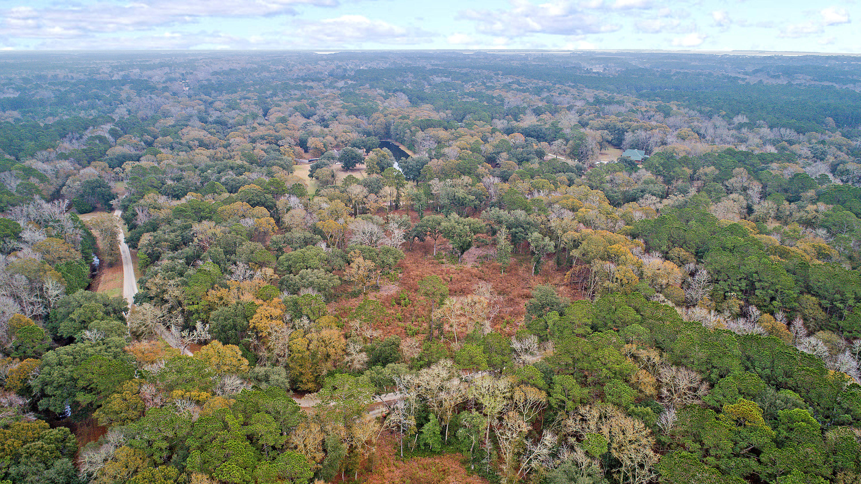 2465 Eden Forest Road Johns Island, SC 29455 - Photo 19 of 22 DJI_0007