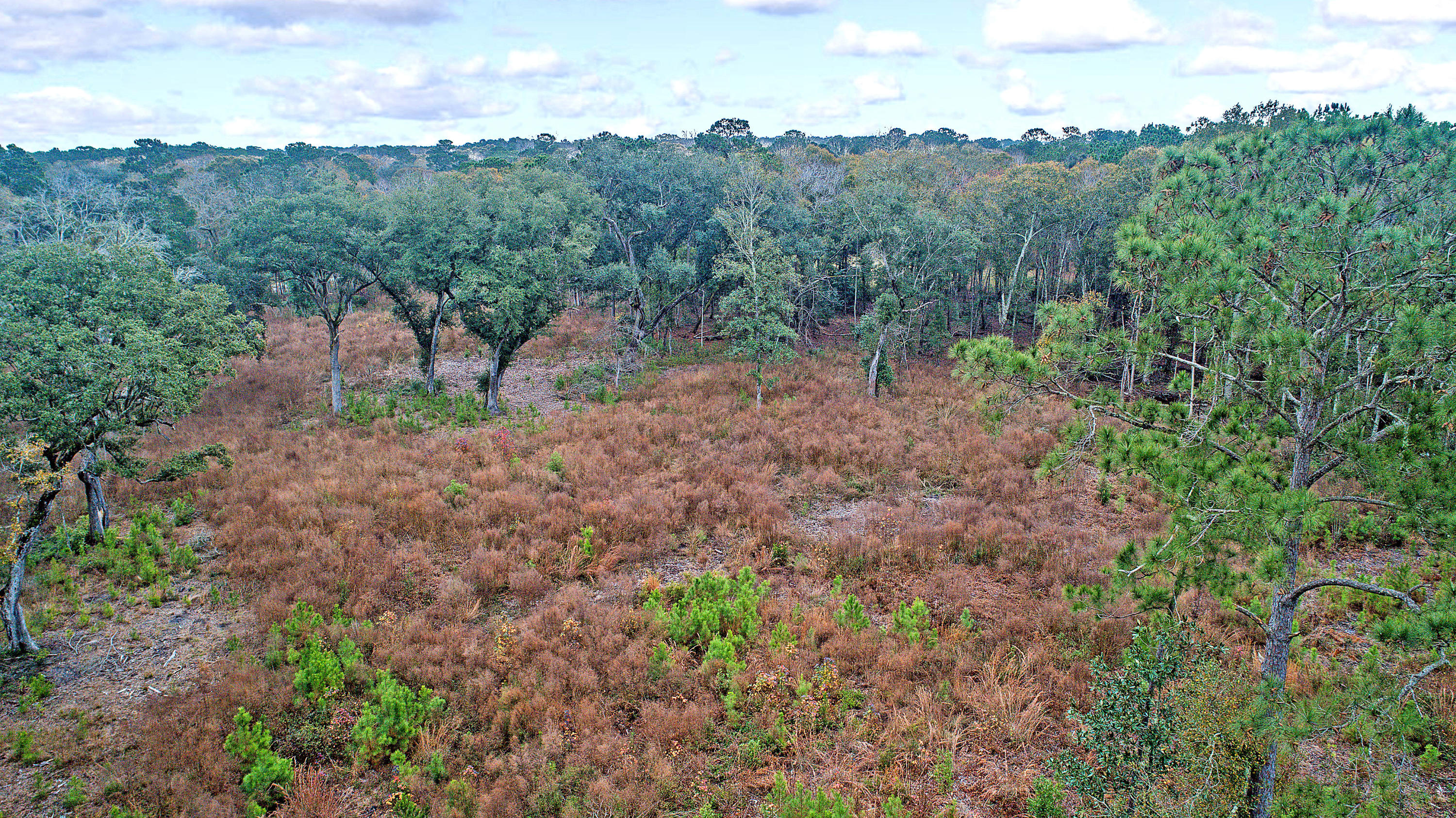 2465 Eden Forest Road Johns Island, SC 29455 - Photo 20 of 22 DJI_0004