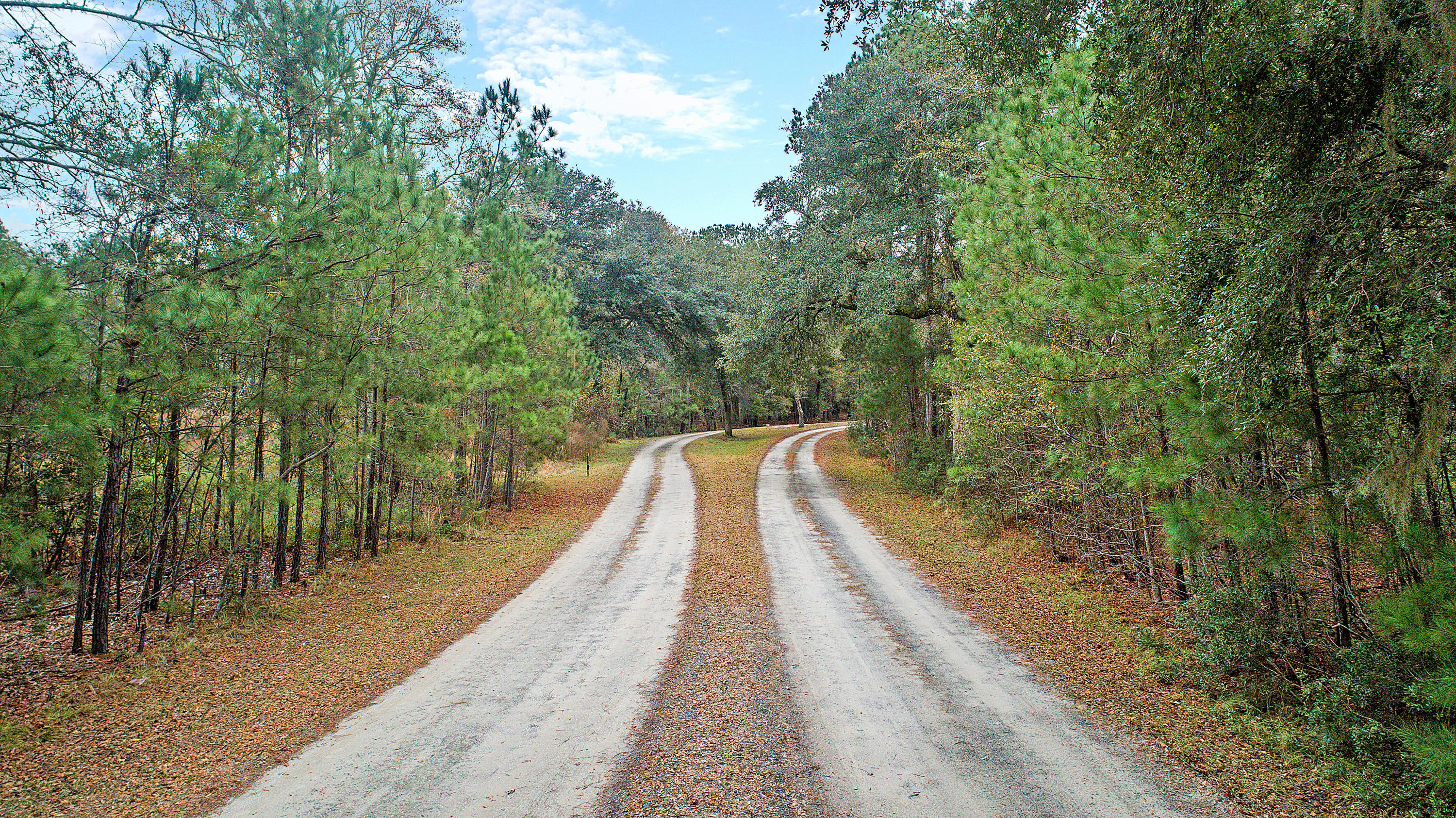 2465 Eden Forest Road Johns Island, SC 29455 - Photo 22 of 22 DJI_0003