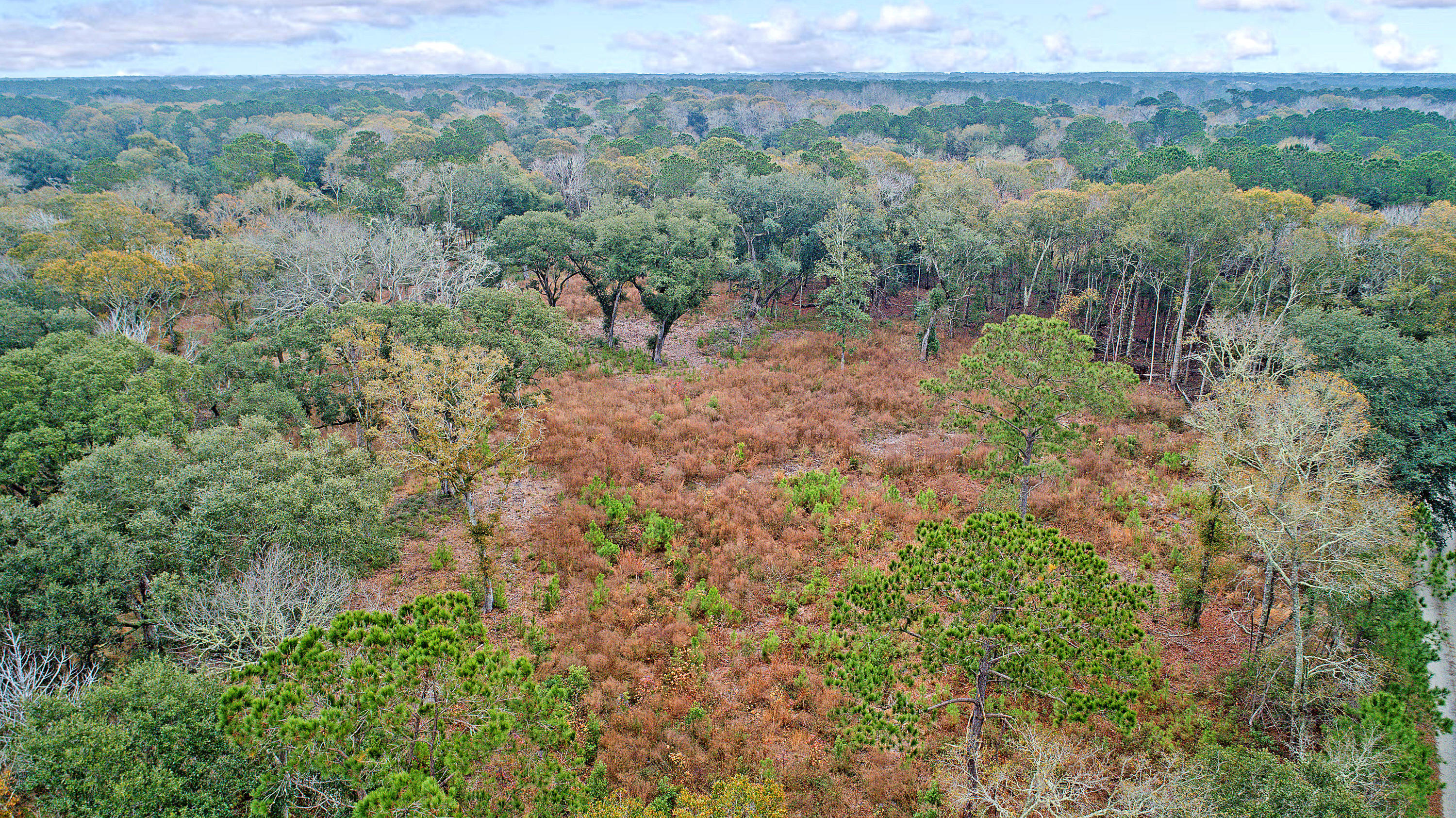 DJI_0020