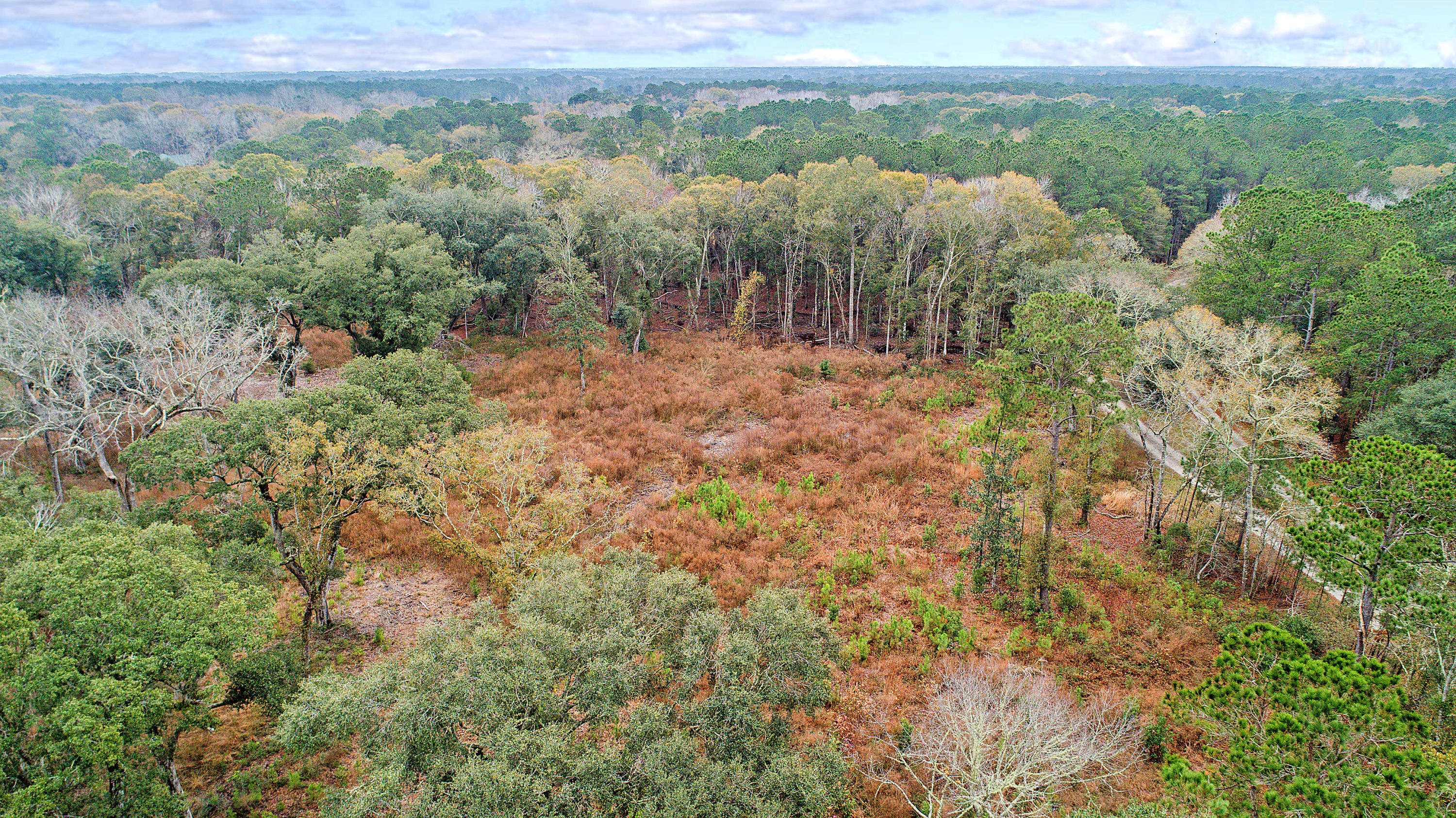 2465 Eden Forest Road Johns Island, SC 29455 - Photo 8 of 22 DJI_0019