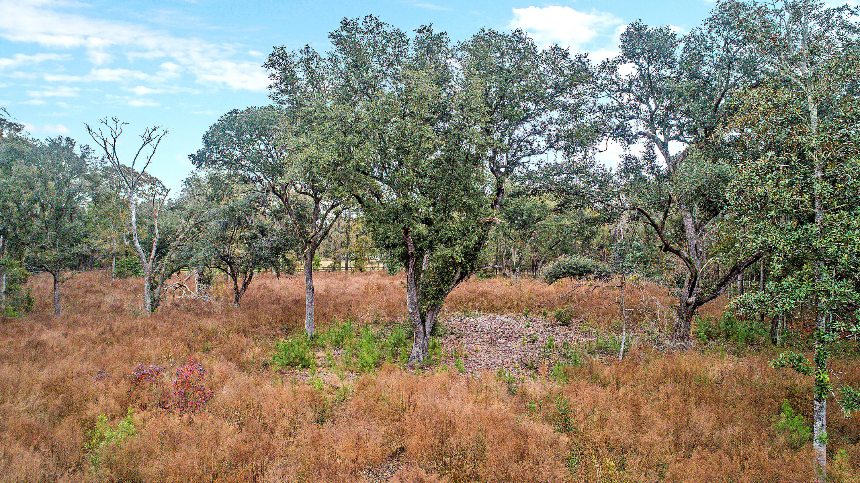 2465 Eden Forest Road Johns Island, SC 29455 - Photo 9 of 22 DJI_0018