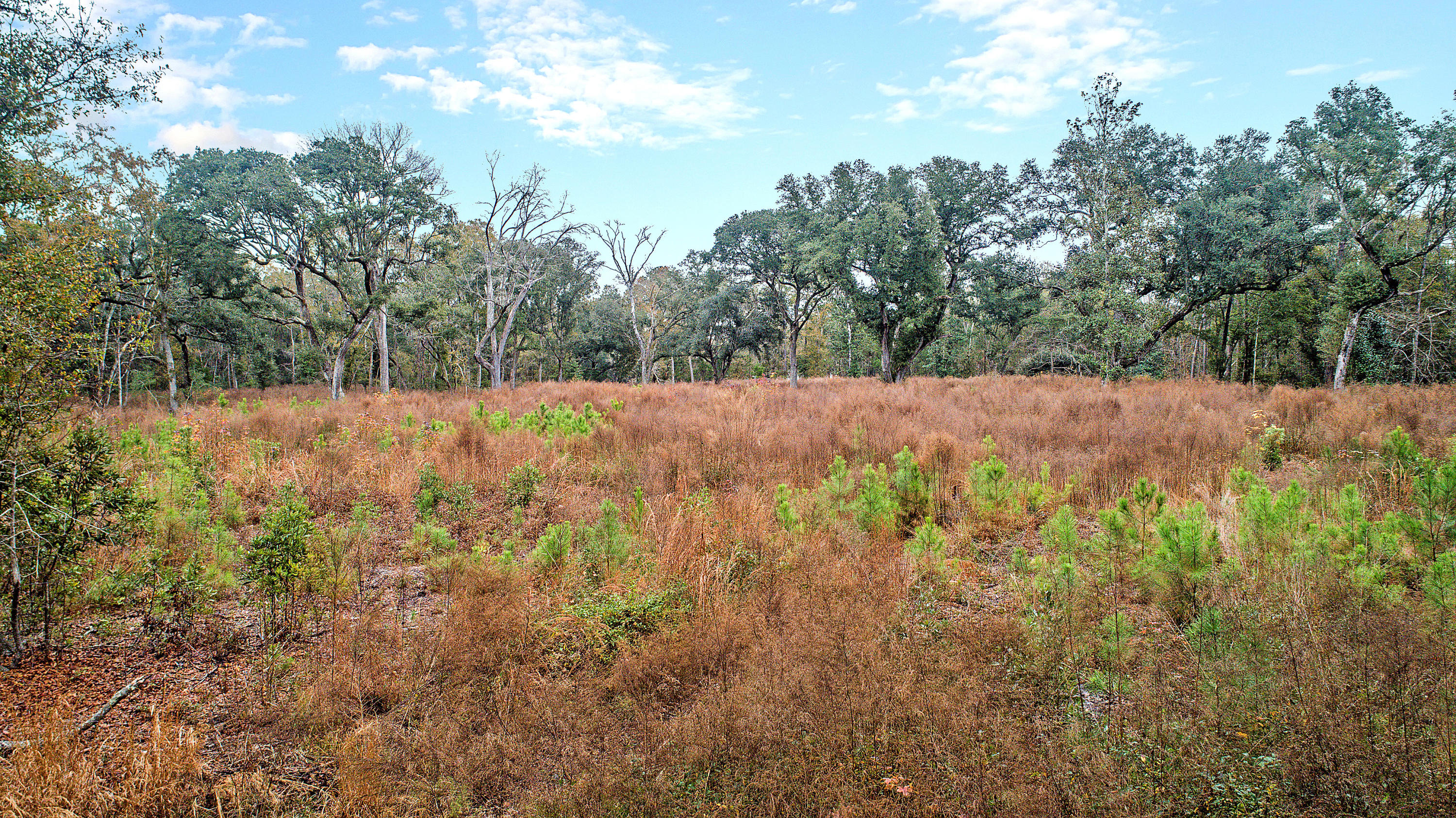 2465 Eden Forest Road Johns Island, SC 29455 - Photo 10 of 22 DJI_0017