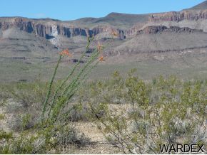 50 West Roosevelt Road Yucca, AZ 86438 - Photo 1 of 4 Primary Photo