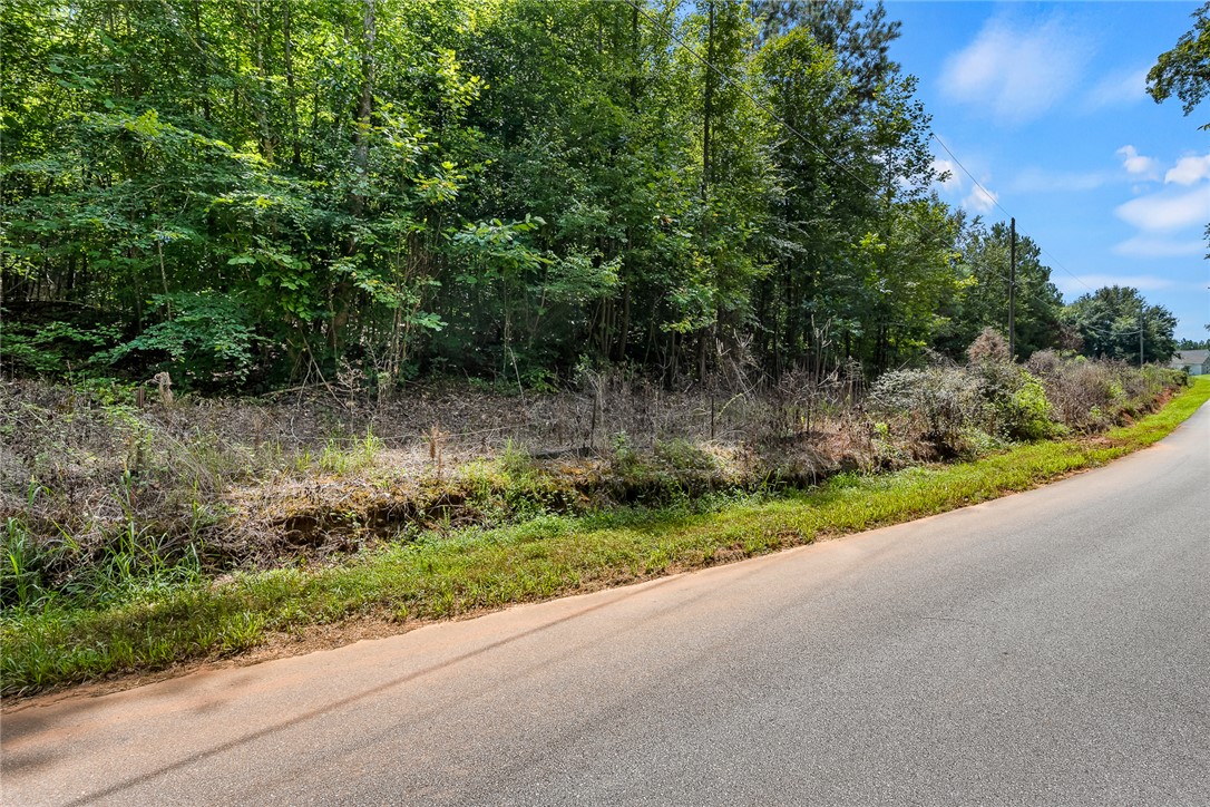 218 Hammond Circle Anderson, SC 29621 - Photo 3 of 12