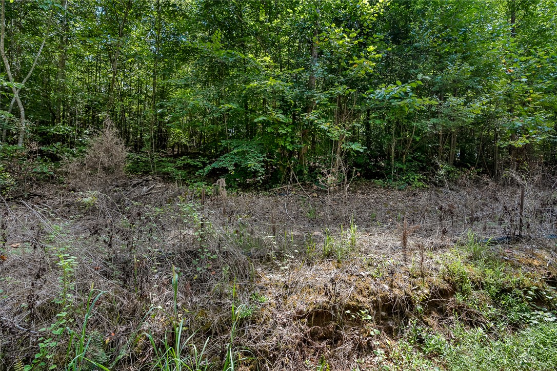 218 Hammond Circle Anderson, SC 29621 - Photo 4 of 12