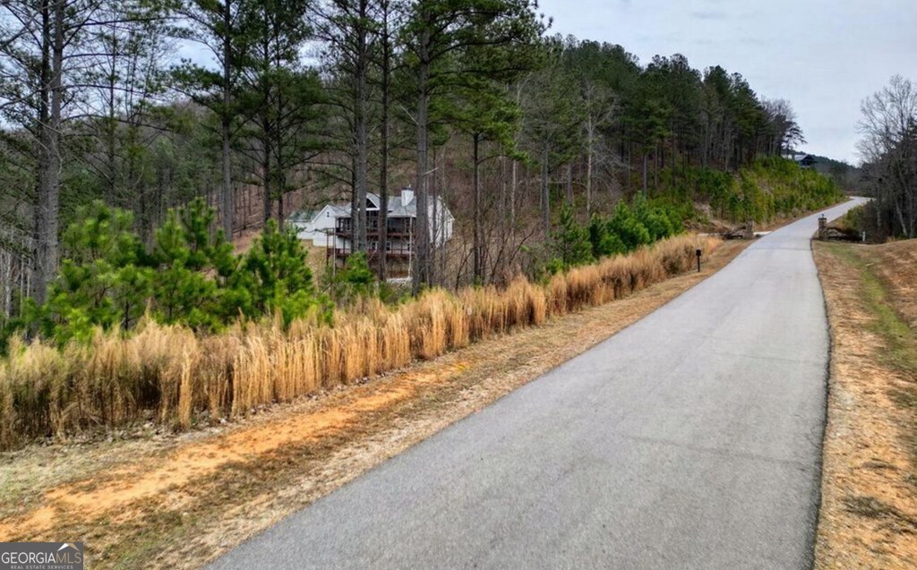 Lot 251 Ridge Pointe Way Blairsville, GA 30512 - Photo 15 of 18 a view of a street view