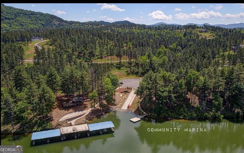 Lot 251 Ridge Pointe Way Blairsville, GA 30512 - Photo 17 of 18 a view of a lake with houses