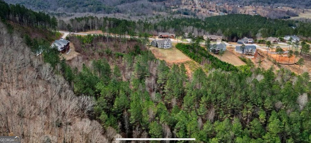 Lot 251 Ridge Pointe Way Blairsville, GA 30512 - Photo 18 of 18