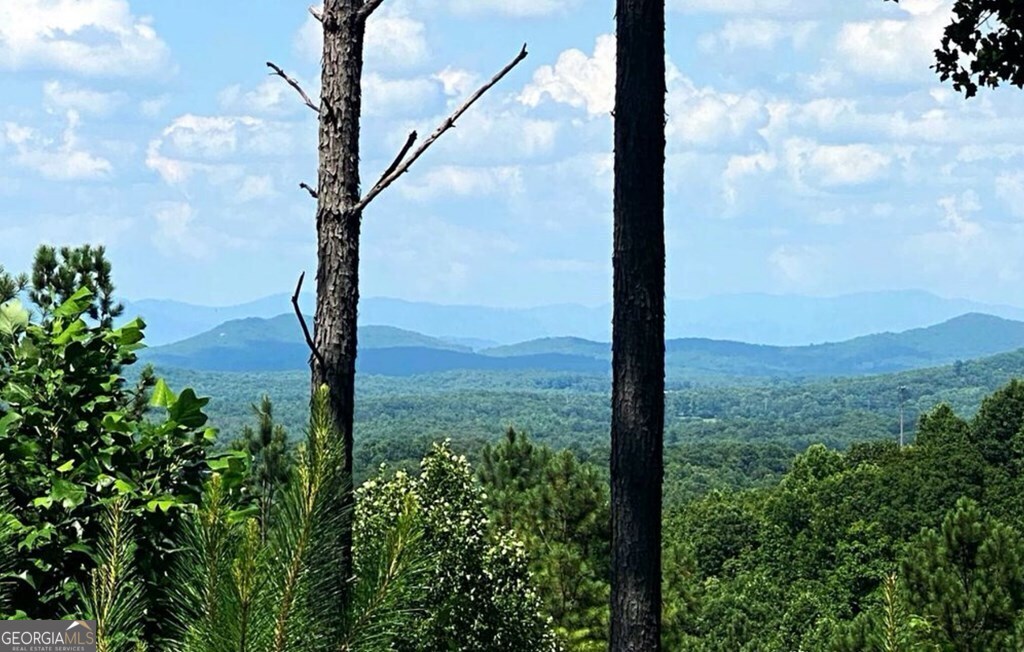 Lot 251 Ridge Pointe Way Blairsville, GA 30512 - Photo 3 of 18 a view of a yard with large tree
