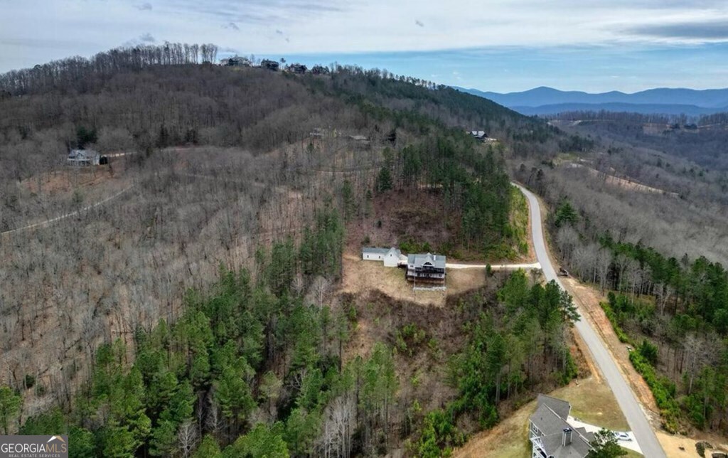 Lot 251 Ridge Pointe Way Blairsville, GA 30512 - Photo 9 of 18 an aerial view of residential house with outdoor space and trees all around