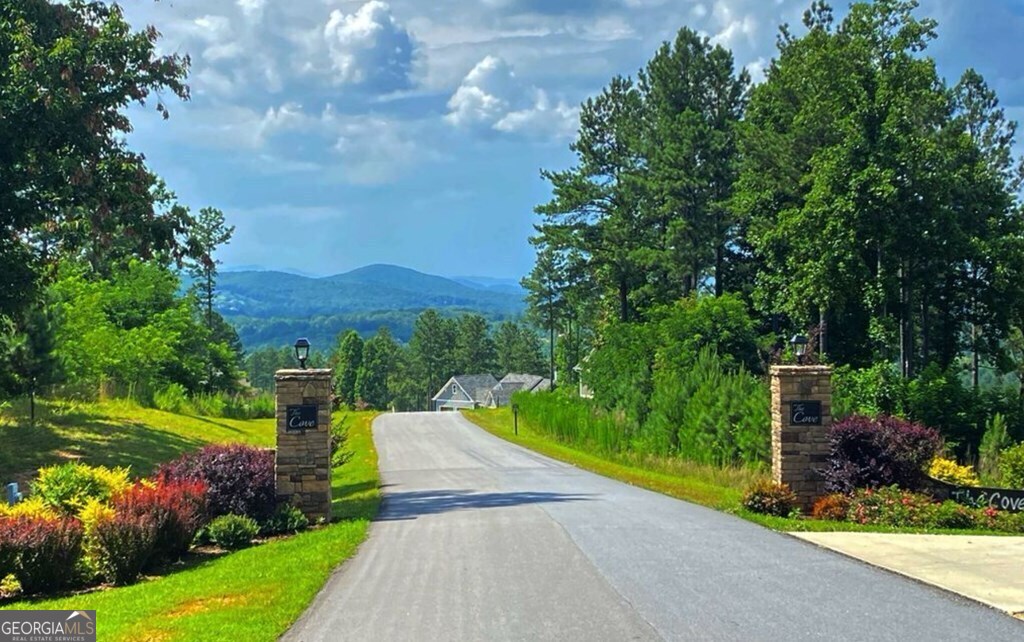 Lot 251 Ridge Pointe Way Blairsville, GA 30512 - Photo 10 of 18 a view of a garden with plants and large trees