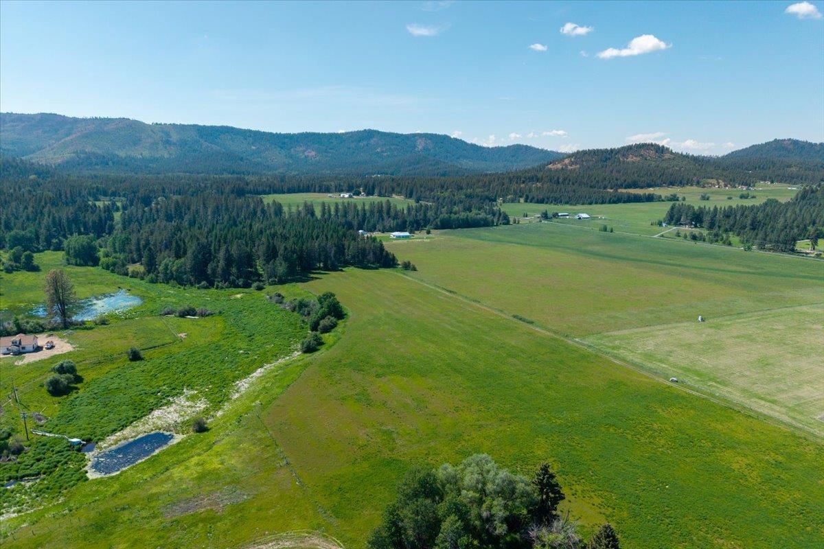 4668 Williams Valley Road Clayton, WA 99110 - Photo 23 of 44