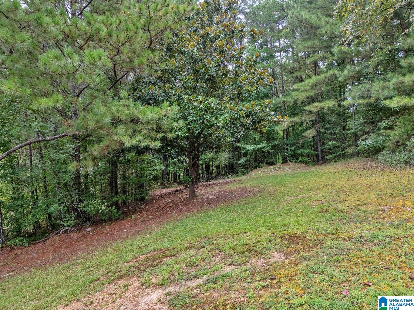 3736 Tidwell Hollow Road Oneonta, AL 35121 - Photo 7 of 46